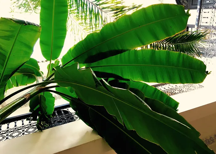 Riad Tawargit Marrakesh